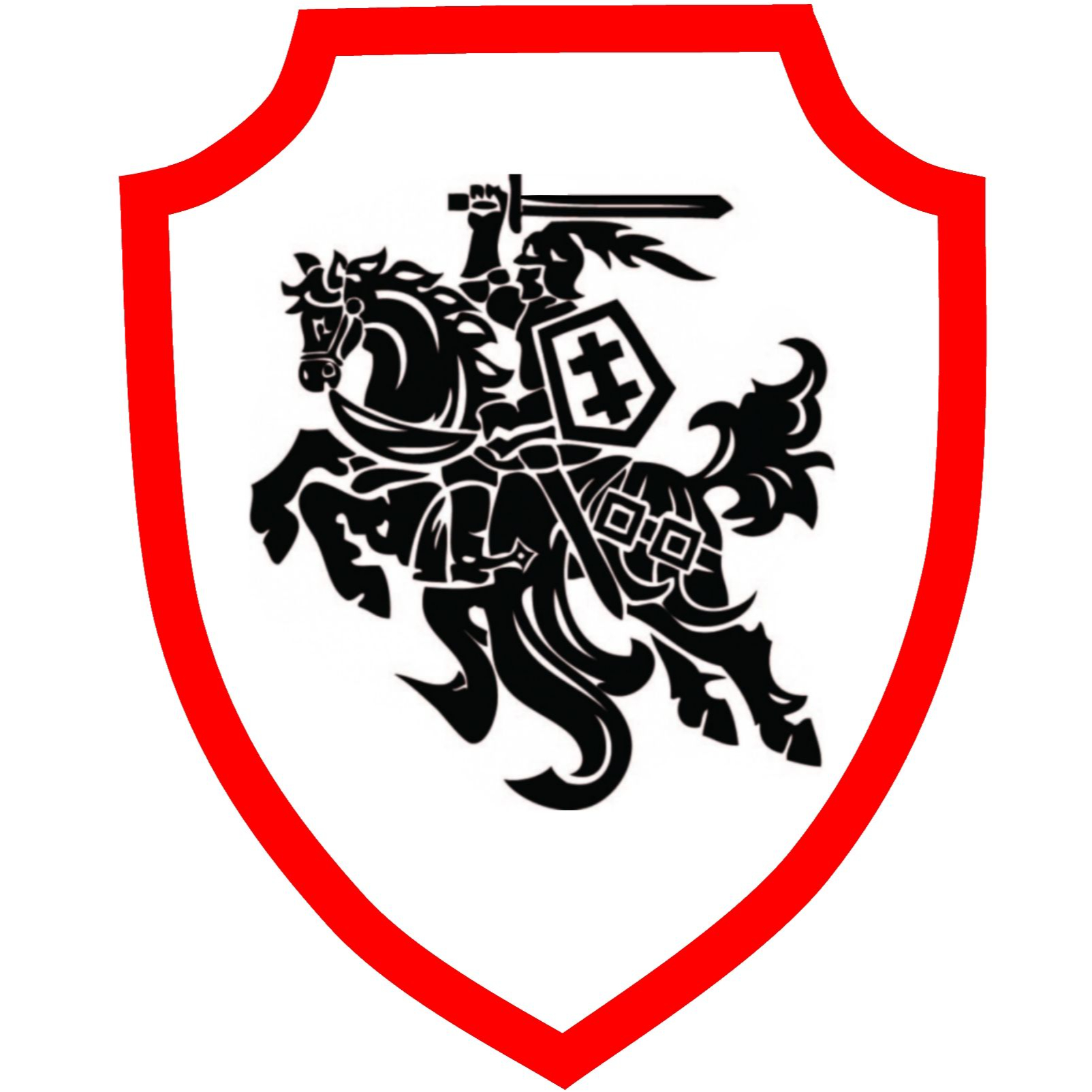 360 Defensor company logo